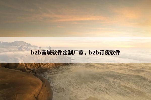 b2b商城软件定制厂家，b2b订货软件