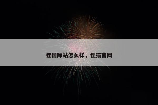 狸国际站怎么样，狸猫官网