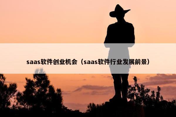 saas软件创业机会（saas软件行业发展前景）