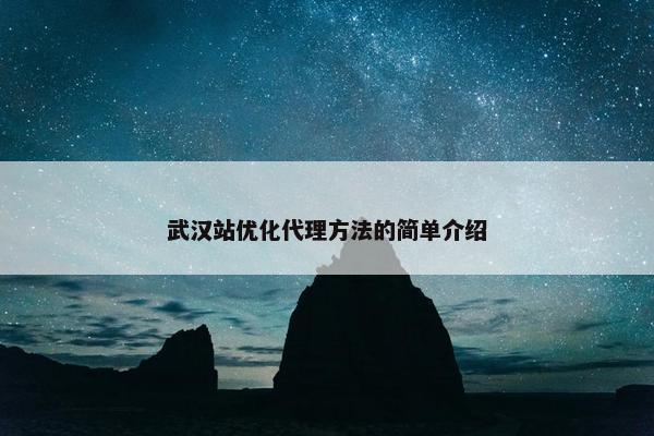 武汉站优化代理方法的简单介绍