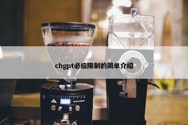 chgpt必应限制的简单介绍