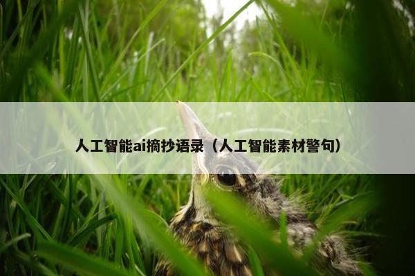 人工智能ai摘抄语录（人工智能素材警句）