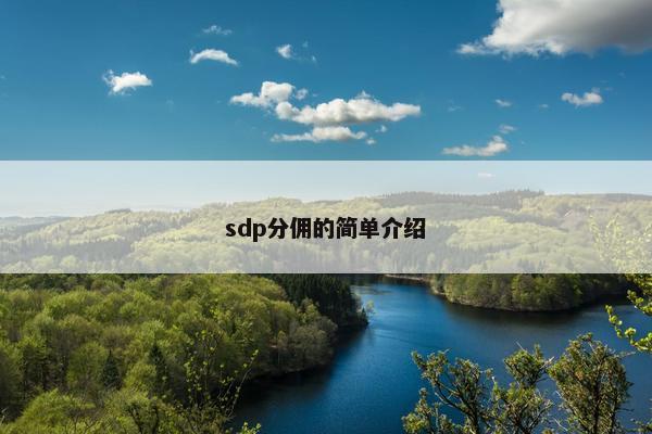 sdp分佣的简单介绍