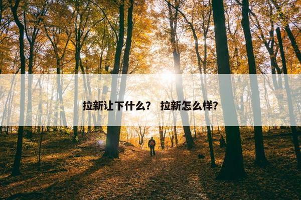 拉新让下什么？ 拉新怎么样？