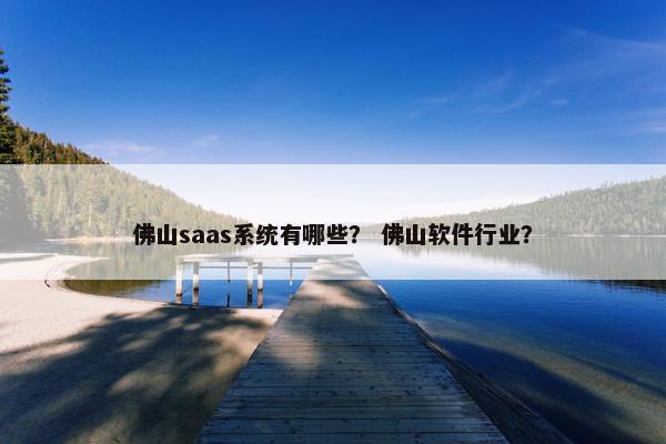 佛山saas系统有哪些？ 佛山软件行业？