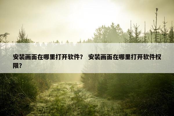 安装画面在哪里打开软件？ 安装画面在哪里打开软件权限？