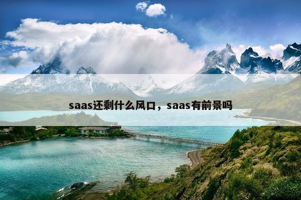 saas还剩什么风口，saas有前景吗