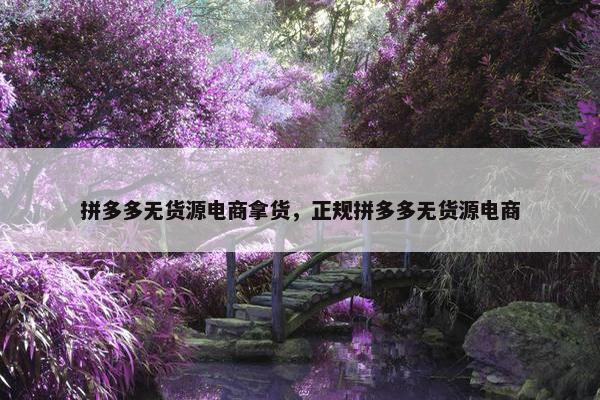 拼多多无货源电商拿货，正规拼多多无货源电商