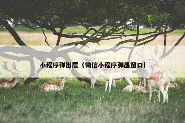 小程序弹出层（微信小程序弹出窗口）