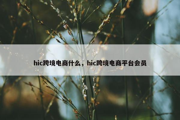 hic跨境电商什么，hic跨境电商平台会员