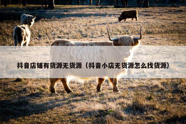 抖音店铺有货源无货源（抖音小店无货源怎么找货源）