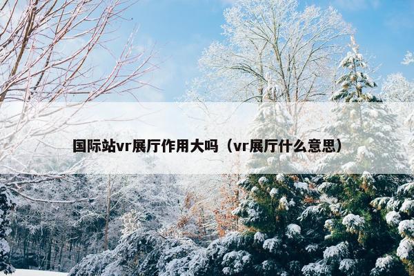 国际站vr展厅作用大吗（vr展厅什么意思）