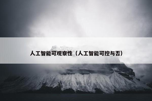 人工智能可观察性（人工智能可控与否）