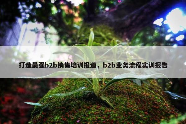 打造最强b2b销售培训报道，b2b业务流程实训报告
