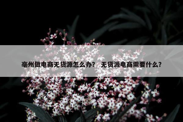 亳州做电商无货源怎么办？ 无货源电商需要什么？