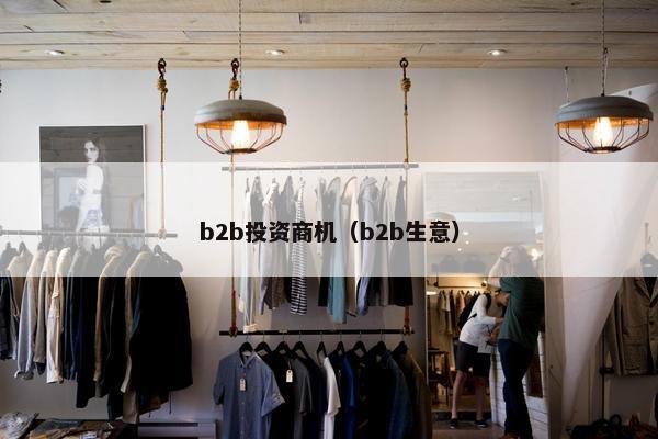 b2b投资商机（b2b生意）