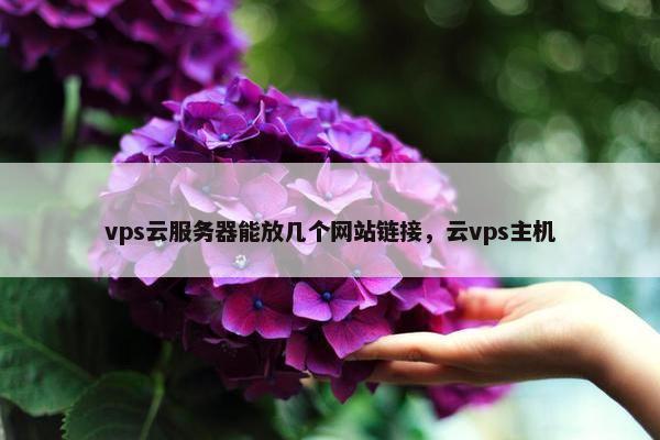 vps云服务器能放几个网站链接，云vps主机