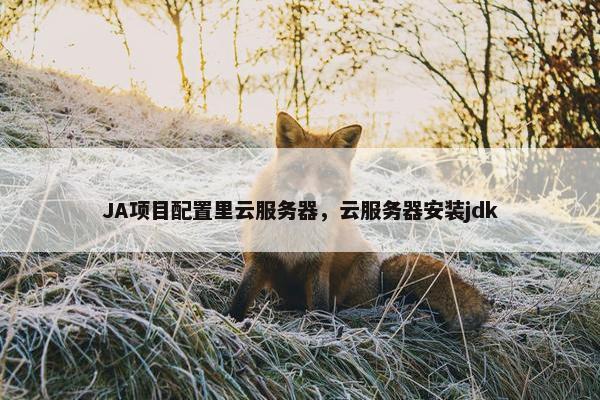 JA项目配置里云服务器，云服务器安装jdk