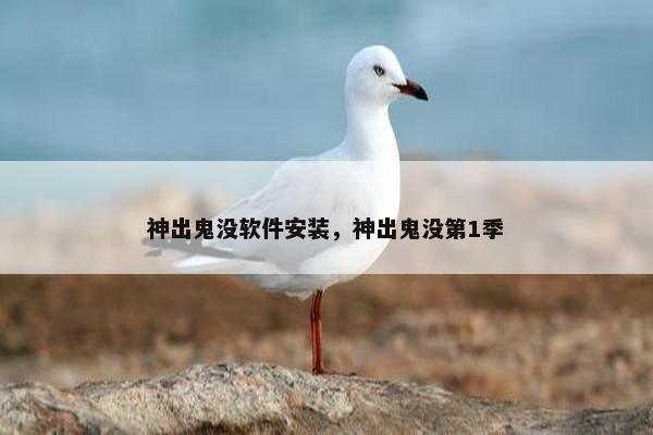 神出鬼没软件安装，神出鬼没第1季