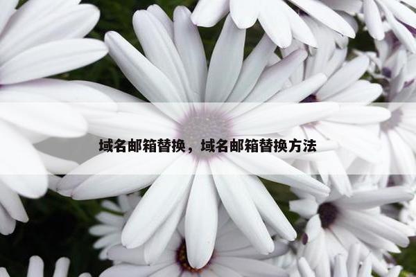 域名邮箱替换，域名邮箱替换方法