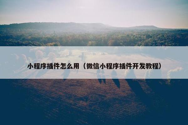 小程序插件怎么用（微信小程序插件开发教程）