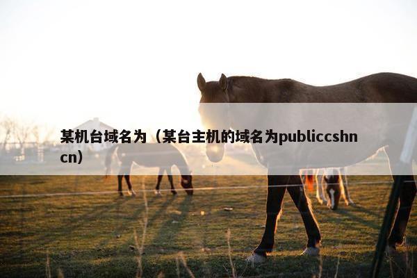 某机台域名为（某台主机的域名为publiccshncn）