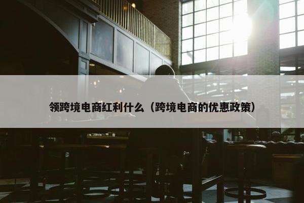 领跨境电商红利什么（跨境电商的优惠政策）