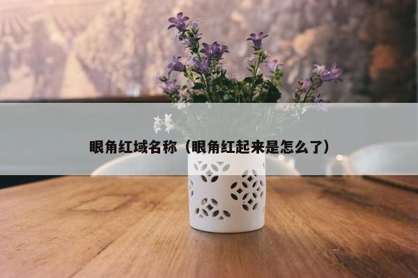 眼角红域名称（眼角红起来是怎么了）