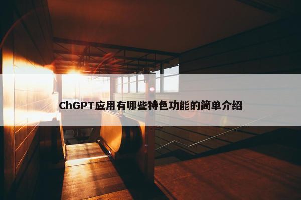 ChGPT应用有哪些特色功能的简单介绍