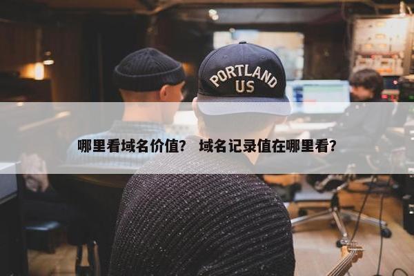 哪里看域名价值？ 域名记录值在哪里看？