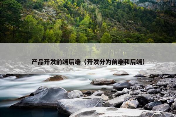 产品开发前端后端（开发分为前端和后端）