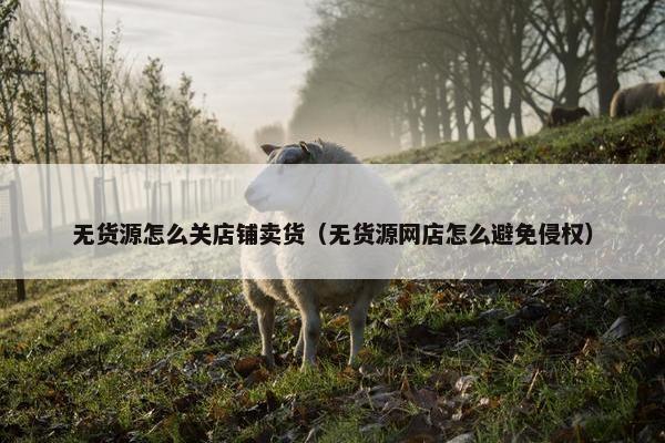 无货源怎么关店铺卖货（无货源网店怎么避免侵权）