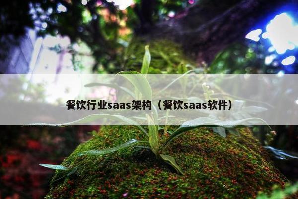 餐饮行业saas架构（餐饮saas软件）