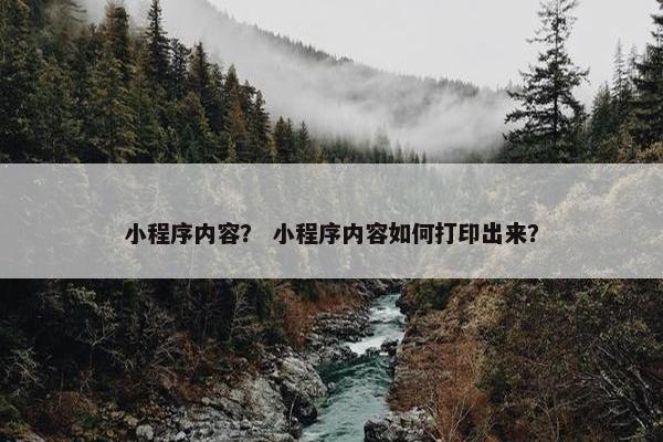 小程序内容？ 小程序内容如何打印出来？