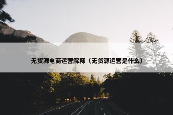 无货源电商运营解释（无货源运营是什么）