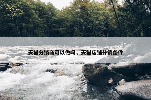 天猫分销商可以做吗，天猫店铺分销条件