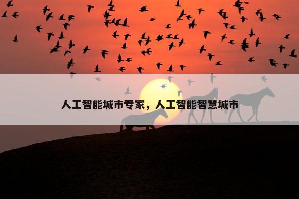 人工智能城市专家，人工智能智慧城市