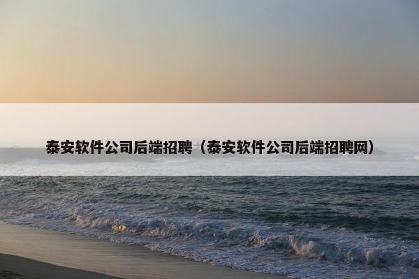 泰安软件公司后端招聘（泰安软件公司后端招聘网）