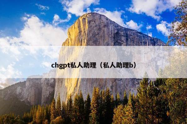 chgpt私人助理（私人助理b）