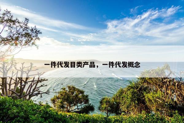 一件代发目类产品，一件代发概念
