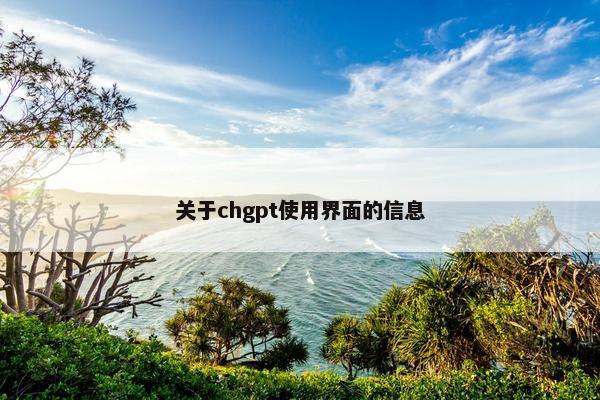 关于chgpt使用界面的信息