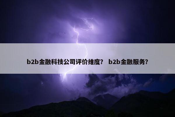 b2b金融科技公司评价维度？ b2b金融服务？