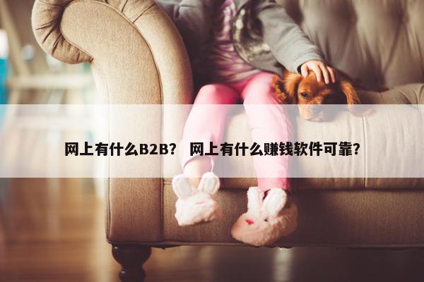 网上有什么B2B？ 网上有什么赚钱软件可靠？