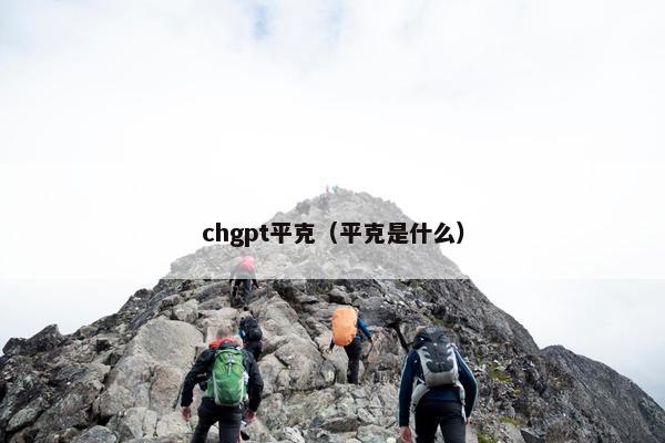 chgpt平克（平克是什么）