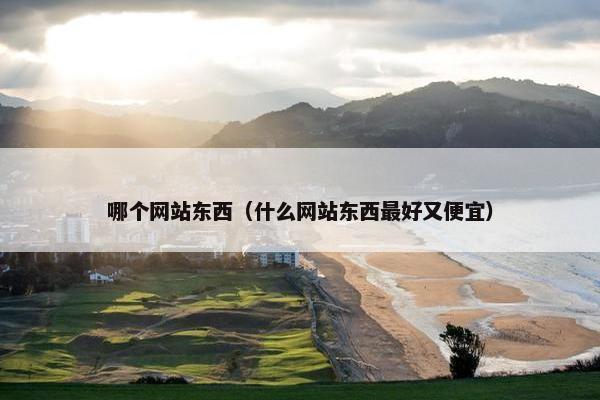哪个网站东西（什么网站东西最好又便宜）