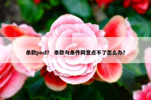 条款pod？ 条款与条件同意点不了怎么办？