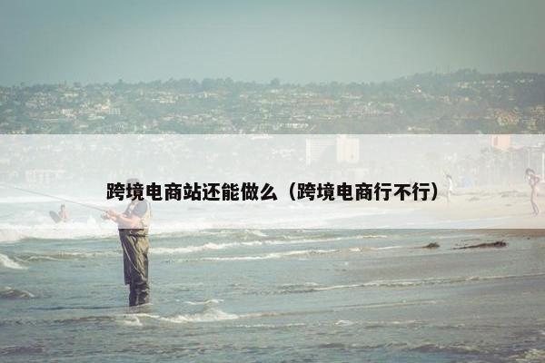 跨境电商站还能做么（跨境电商行不行）