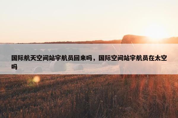 国际航天空间站宇航员回来吗，国际空间站宇航员在太空吗