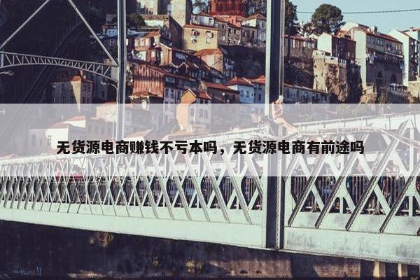 无货源电商赚钱不亏本吗，无货源电商有前途吗