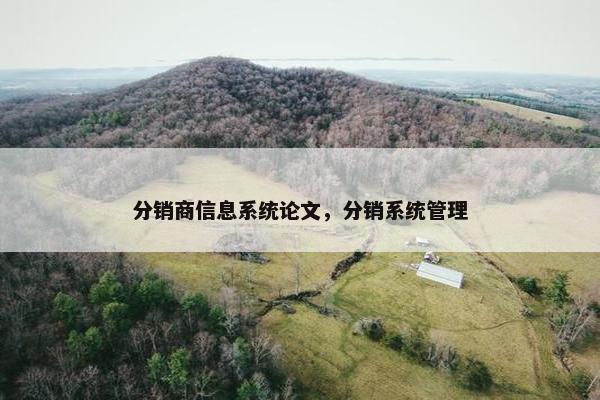 分销商信息系统论文，分销系统管理